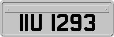 IIU1293