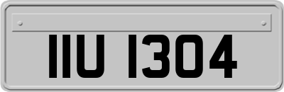 IIU1304