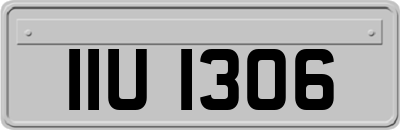 IIU1306