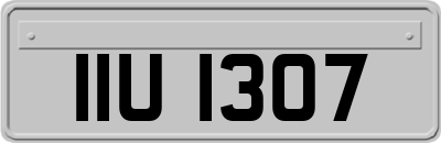 IIU1307