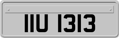 IIU1313