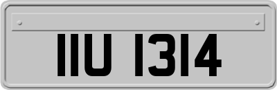 IIU1314