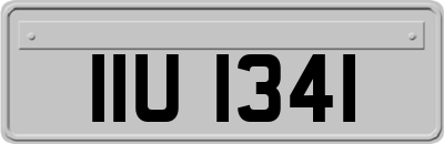 IIU1341