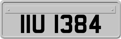 IIU1384