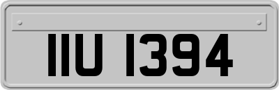 IIU1394