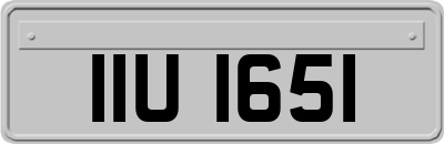 IIU1651