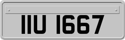 IIU1667