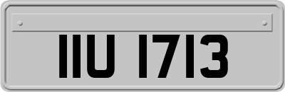 IIU1713