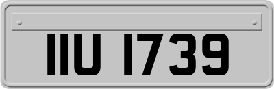 IIU1739