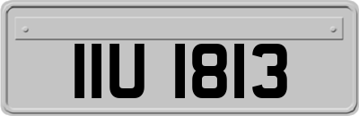 IIU1813