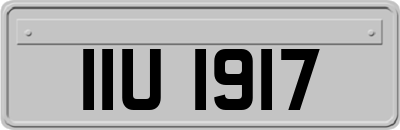 IIU1917