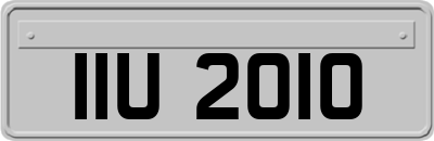 IIU2010