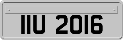 IIU2016