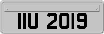 IIU2019