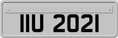 IIU2021