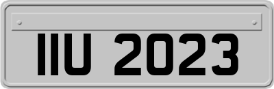 IIU2023