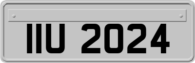 IIU2024