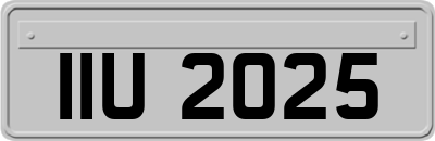 IIU2025