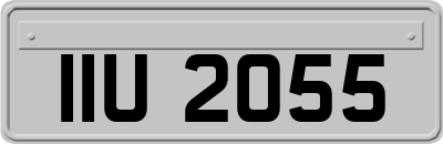 IIU2055