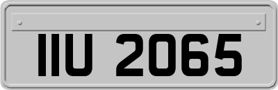 IIU2065