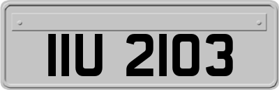 IIU2103