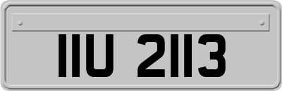 IIU2113