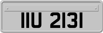 IIU2131