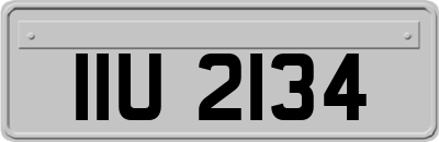 IIU2134