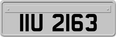 IIU2163