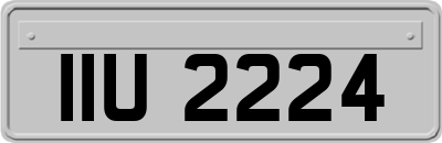 IIU2224