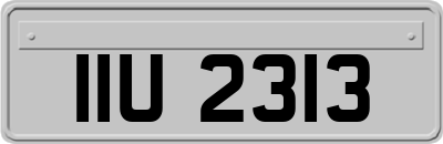 IIU2313