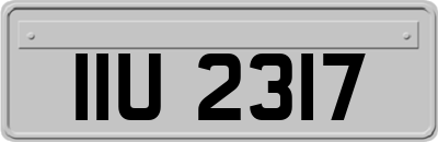 IIU2317