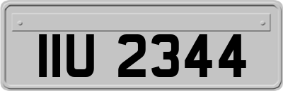 IIU2344