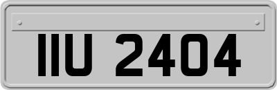 IIU2404