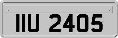 IIU2405