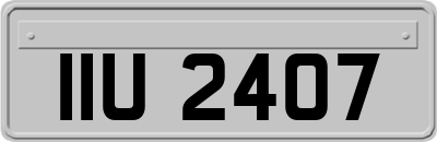 IIU2407