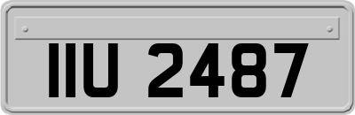 IIU2487