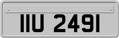 IIU2491