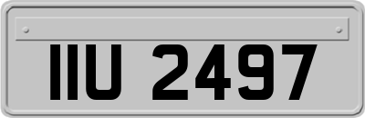 IIU2497
