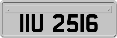 IIU2516