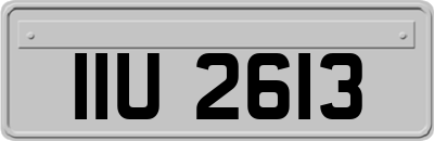 IIU2613