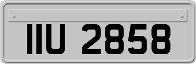 IIU2858