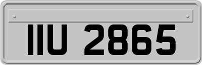 IIU2865