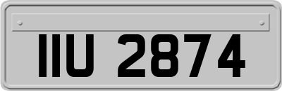 IIU2874
