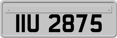 IIU2875