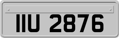IIU2876