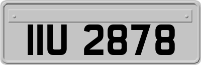 IIU2878