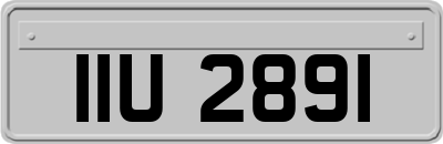IIU2891
