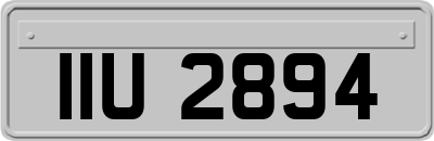 IIU2894