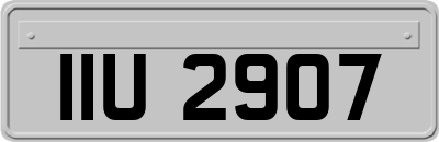 IIU2907